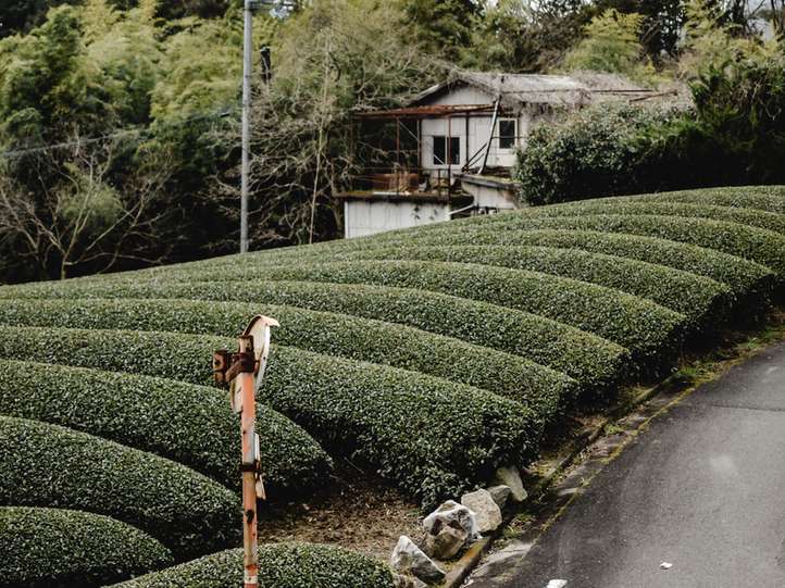private-tour-japan